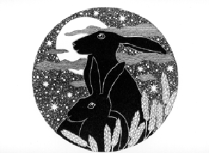 Night Hares
